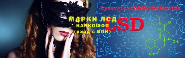 амф Алзамай