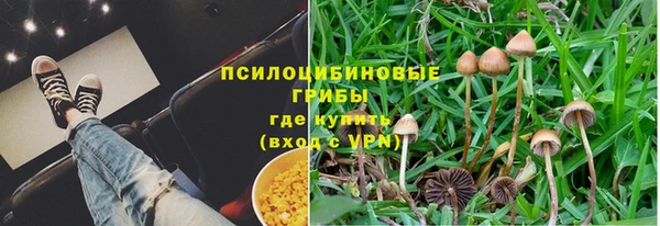 гидропоника Алексеевка