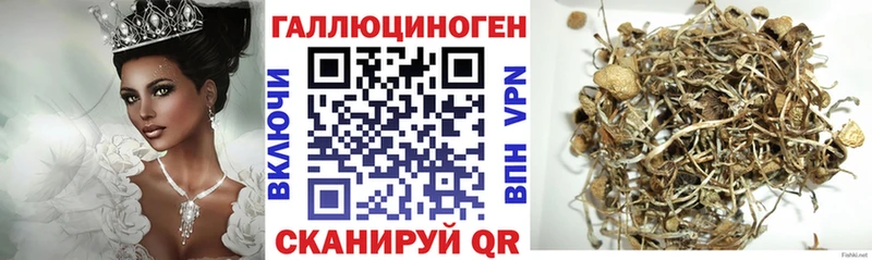 KRAKEN ссылка  Ужур  Галлюциногенные грибы Magic Shrooms 